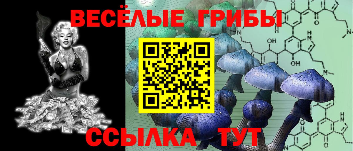 Галлюциногенные грибы Psilocybine cubensis  магазин    Семёнов  Вход с VPN 